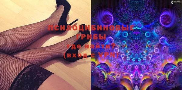гидропоника Алзамай
