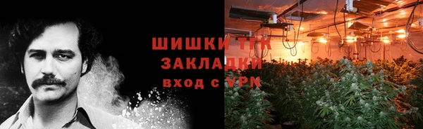 гидропоника Алзамай