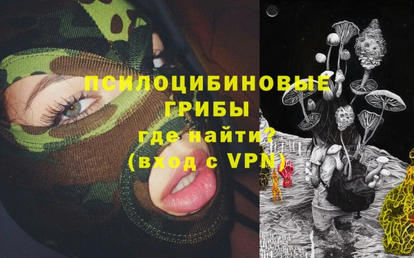 гидропоника Алзамай