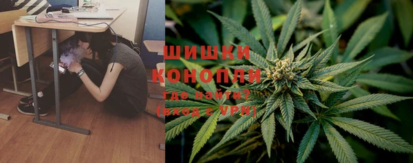 гидропоника Алзамай