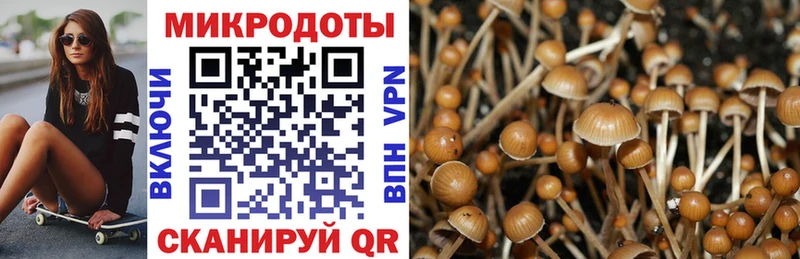 Галлюциногенные грибы Magic Shrooms  закладка  Алзамай 